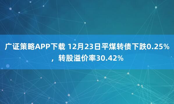 广证策略APP下载 12月23日平煤转债下跌0.25%，转股溢价率30.42%