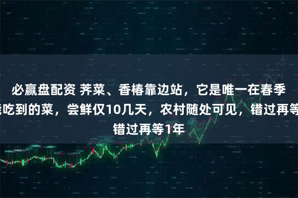 必赢盘配资 荠菜、香椿靠边站，它是唯一在春季才能吃到的菜，尝鲜仅10几天，农村随处可见，错过再等1年